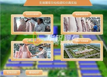 生豬屠宰及檢疫VR虛擬仿真實(shí)驗軟件