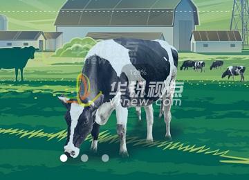 動(dòng)物養殖VR虛擬仿真教學(xué)實(shí)訓系統