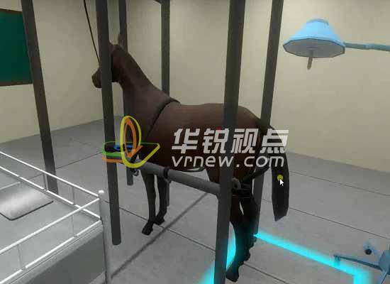 VR醫療教學(xué)課件之馬牛直腸手術(shù)